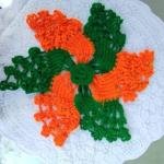 Woolen Thali Cover(Pack of 2)