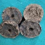 Deshi gay ke uple (pack of 10)
