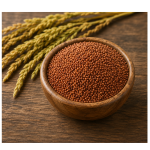 Premium Finger Millet (Ragi) – Fresh, Nutritious And Organic Choice 🌾(1 kg))