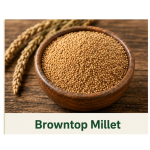 Browntop Millet โ Healthy And Organic Choice ๐พ(1kg)