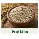 Premium Pearl Millet (Bajra) – Natural And Healthy Grain (1kg)
