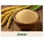 Premium Jowar (Sorghum) Grain (1kg)