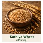 Premium Kathiya Wheat (कठिया गेहूं) – GI Tagged Traditional Variety (1kg)