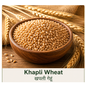 Premium Organic Khapli Wheat (Emmer Wheat) (1kg)