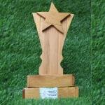 Eco-Friendly Bamboo Shield Trophy