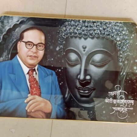Dr.B.R.Ambedkar photo frame with bubble crystal art (20x14)in