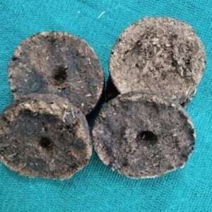 Deshi gay ke uple(pack of 12)